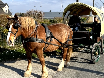 LA CALECHE A BULLES - 