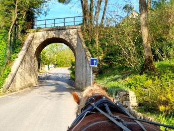 LA CALECHE A BULLES - 